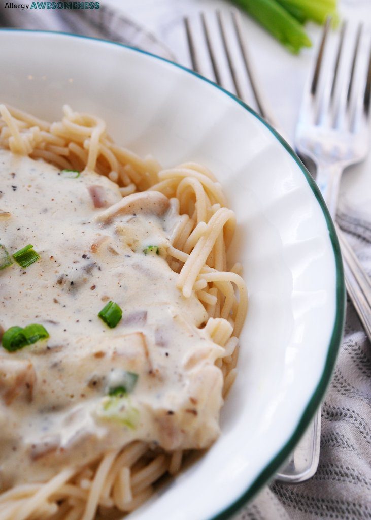 Dairy-free stroganoff recipe